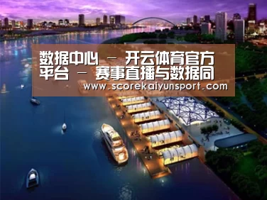 案例展示八