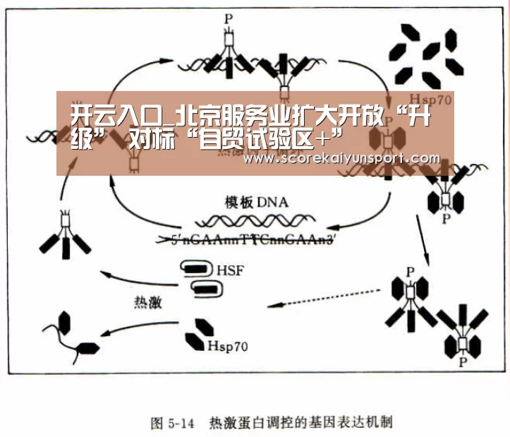 开云入口_北京服务业扩大开放“升级” 对标“自贸试验区+”(图1) 开云入口